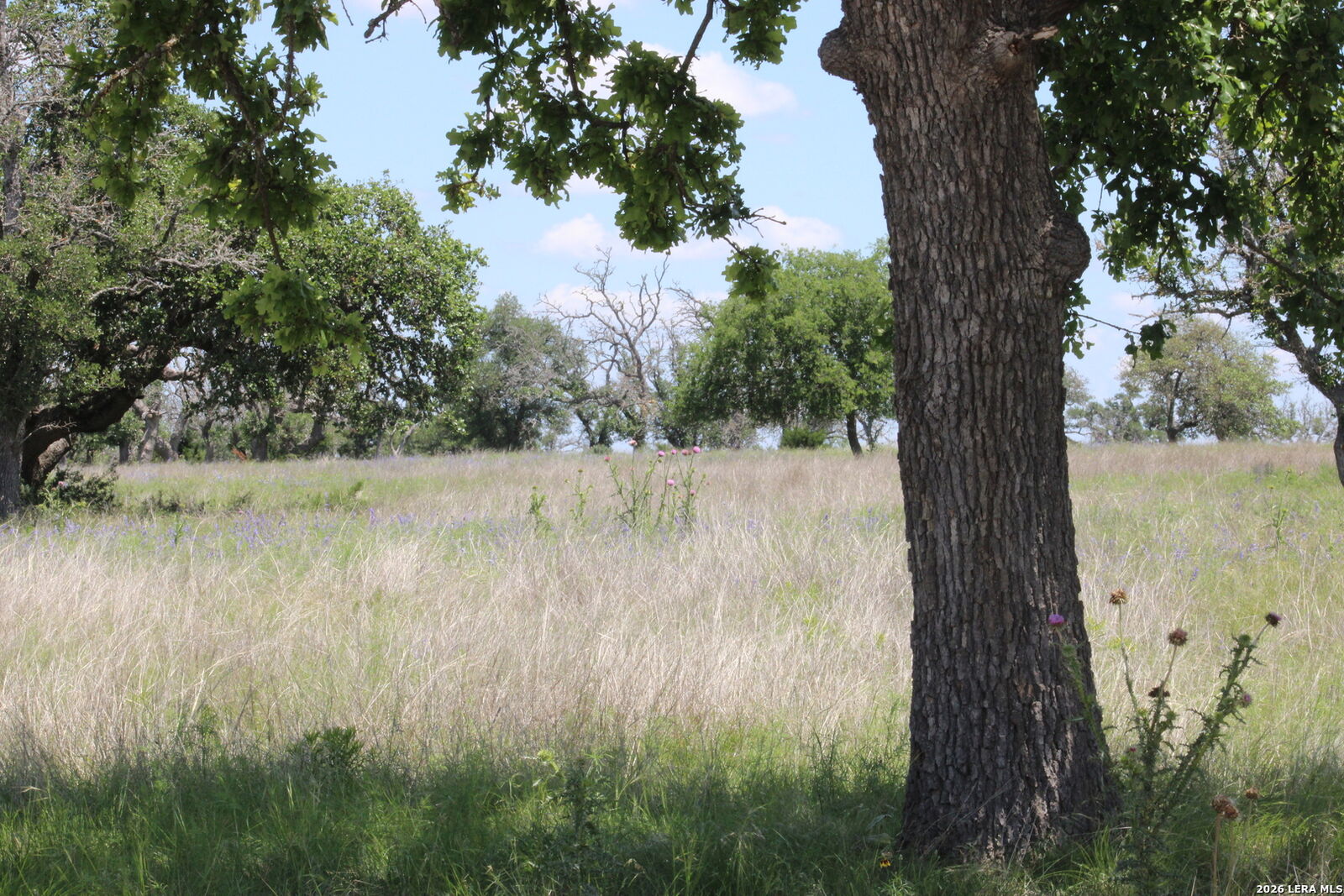 Property Photo:  132 Pack Saddle Ln  TX 78624 