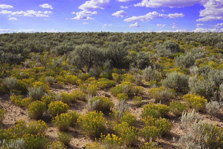 Property Photo: Xx Rim Road Cb-115 (Parcel A Rancho Sabina Desgeorges NM 85717