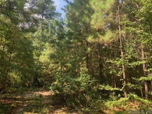 Property Photo:  Lot 4 Oklahoma Inn Road  AR 72015 
