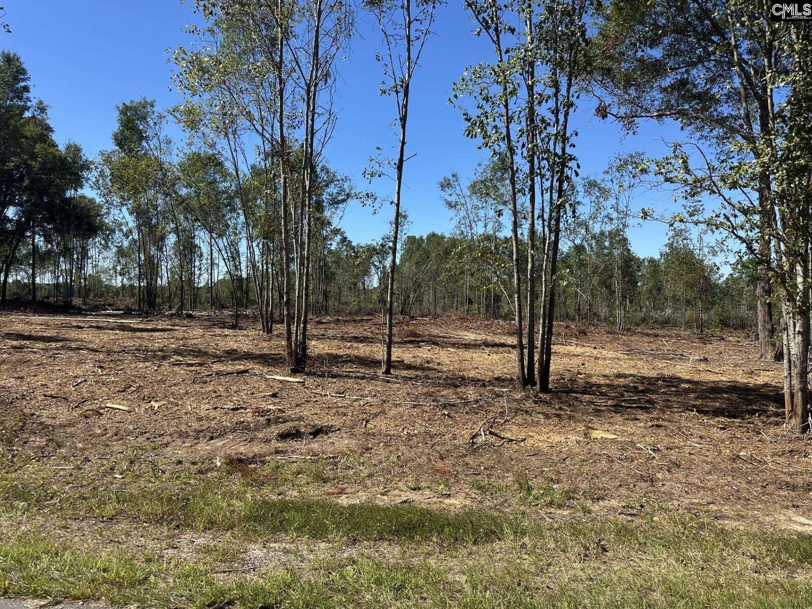 Property Photo:  00 Sc Hwy 773  SC 29126 