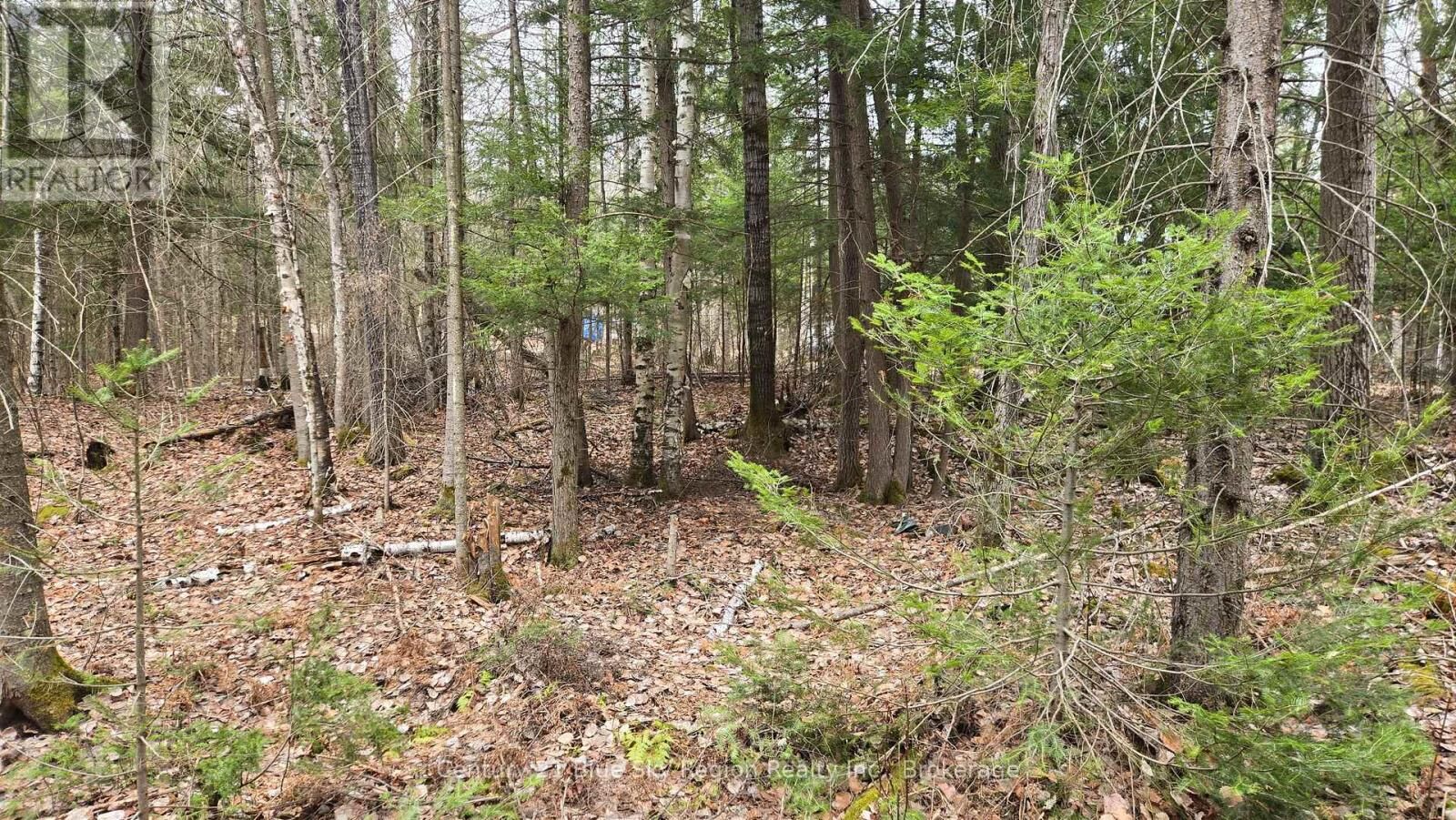 Property Photo:  149 Pine Lake Road  ON P0H 2E0 