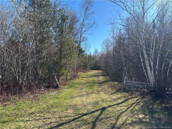 11.98 Acres Chemin Tremblay — photo 1