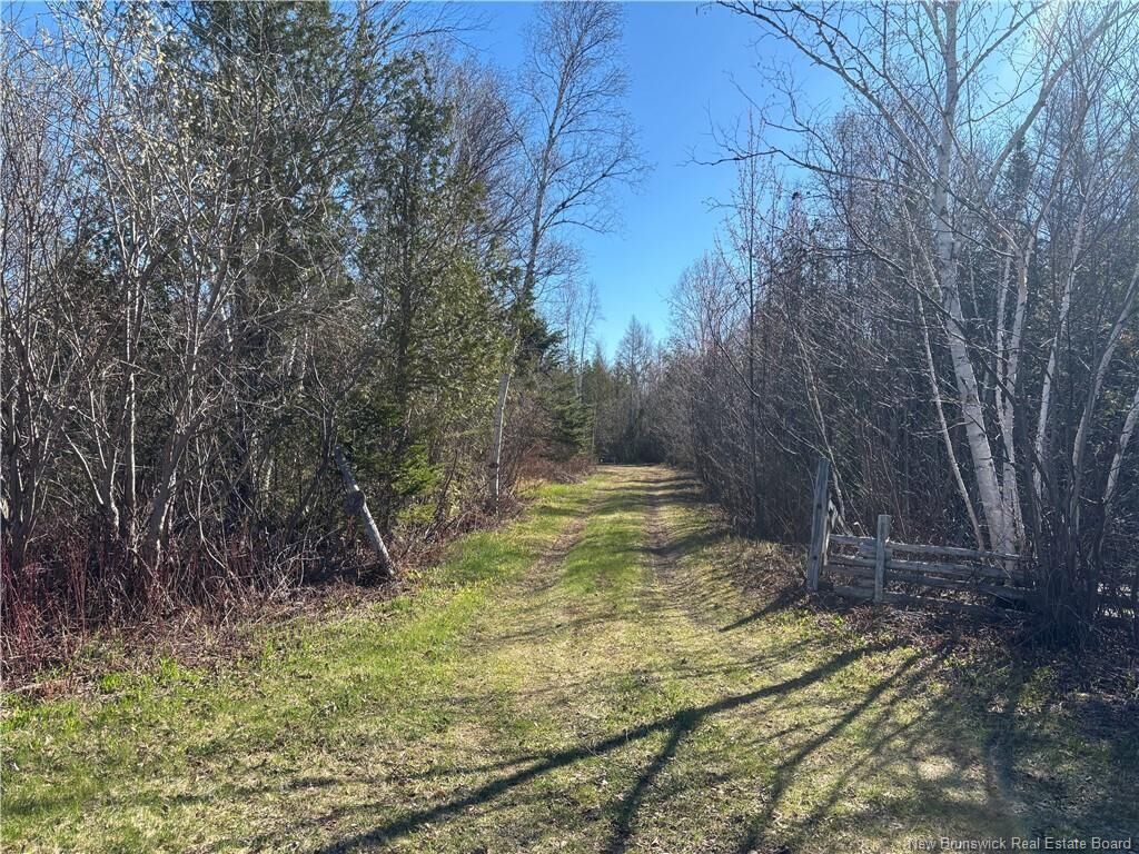 Property Photo:  11.98 Acres Chemin Tremblay  NB E8J 1A6 