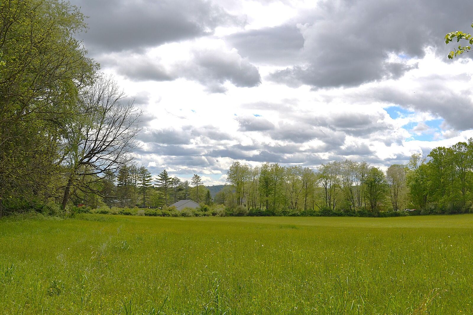 Property Photo:  Windy Meadows Ln  WV 24938 