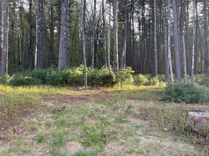 Property Photo:  Airport Road  NY 12732 