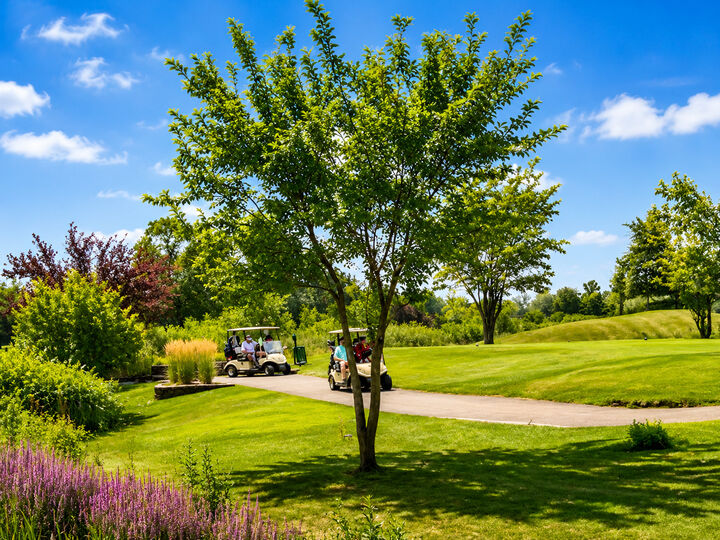 Property Photo: 123 Iliad Drive IL 60477