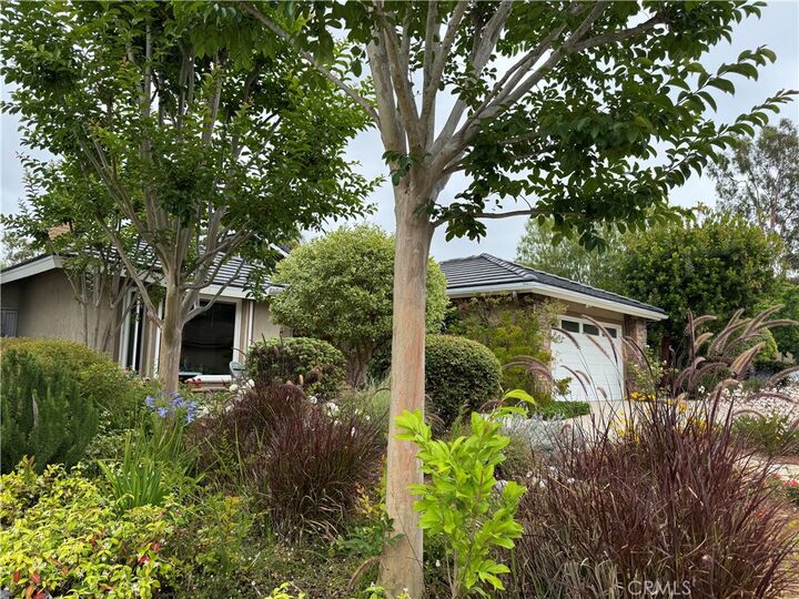 Property Photo:  31 Sycamore  CA 92603 