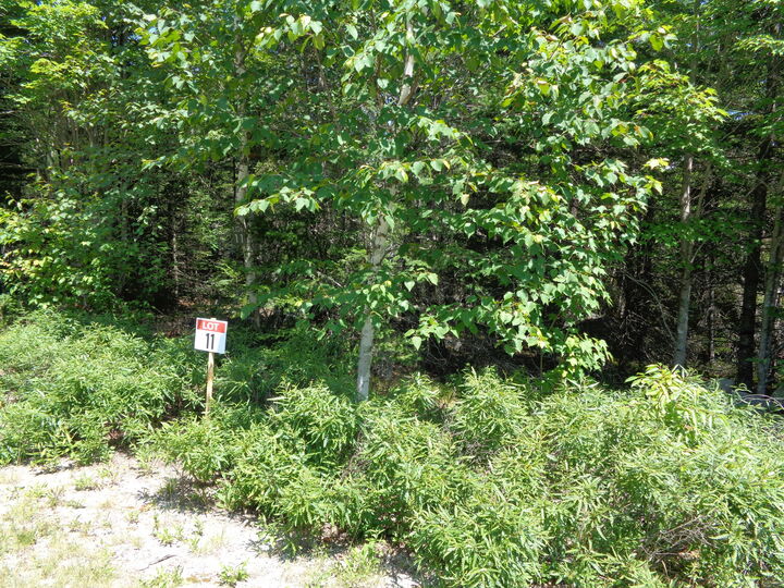 Property Photo: Lot 11 Bailey Mountain Road ME 04634