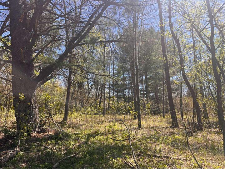 Property Photo:  23xx River Road  WI 54024 