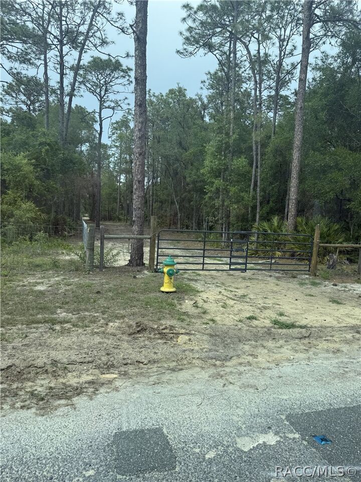 Property Photo: 5499 N Gonzo Point FL 34428