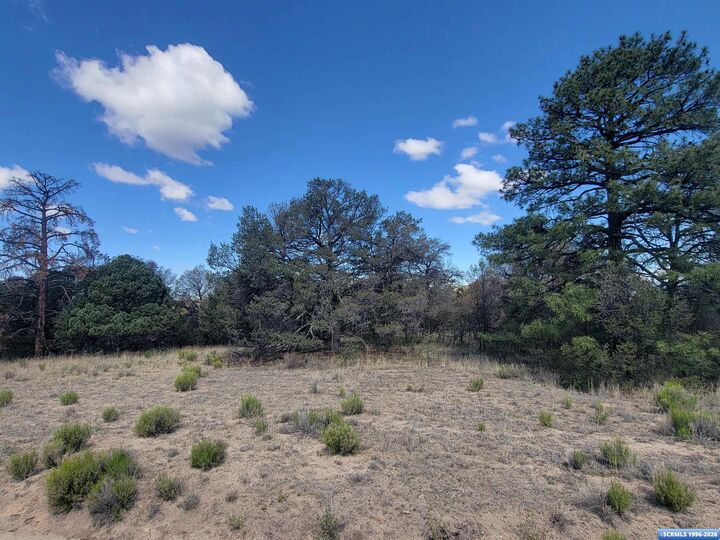 Property Photo:  Xx Tyrone Thompson Road  NM 88061 