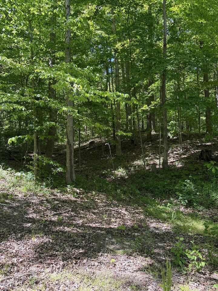 Property Photo: 560 Sunfish Creek Road OH 45690