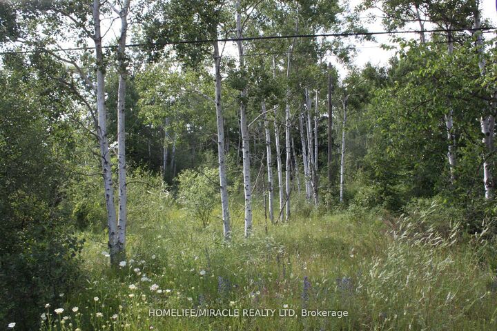 380 Highway 15 Highway — photo 1