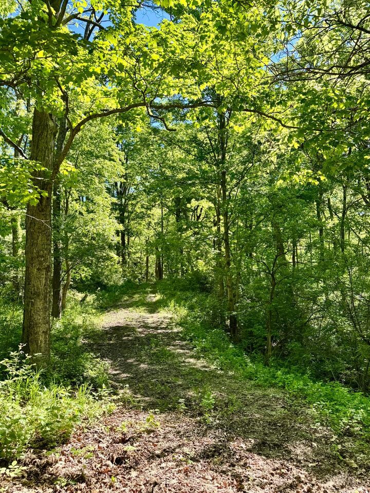 Property Photo:  0 Kentucky Avenue  IN 47060 
