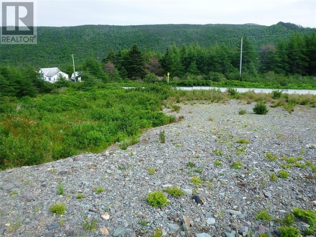 Property Photo:  2-4 Snows Pond Road  NL A0A 3C0 