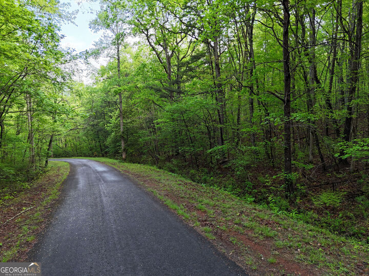 Property Photo:  L93-95 Timberline 93,94,95  GA 30582 
