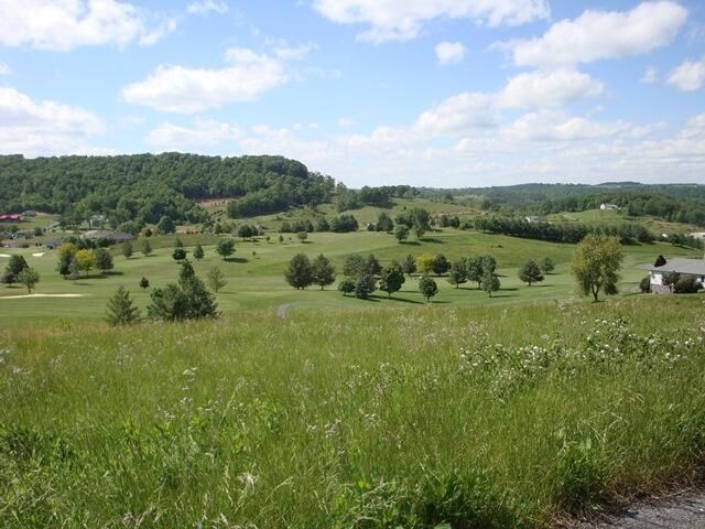 Property Photo: Birdie Drive WV 24963