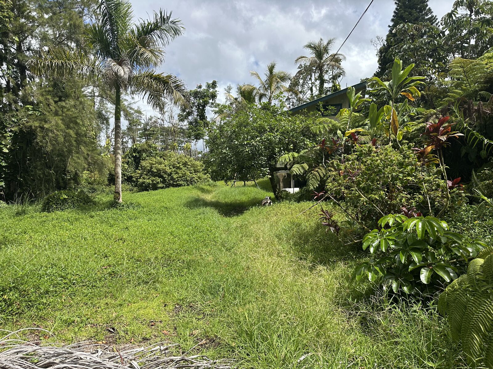 Property Photo:  16-2737 Ainaloa Dr  HI 96778 