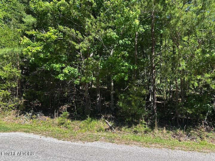 Property Photo:  16 Norwood Place  TN 38558 