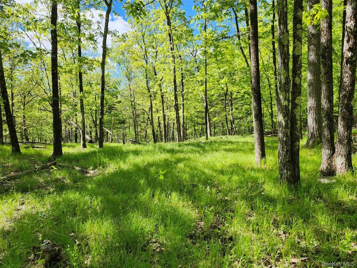 Property Photo:  Tbd Upper Samsonville Road  NY 12461 