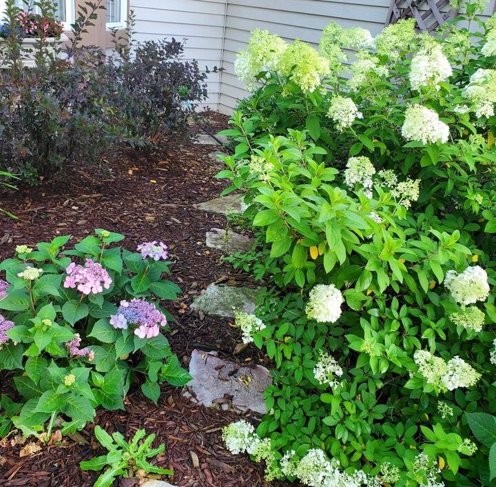 Property Photo:  8923 Highland Bay  MN 55125 