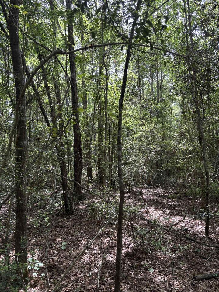 Property Photo:  Tbd Old White Oak Rd  TX 77374 