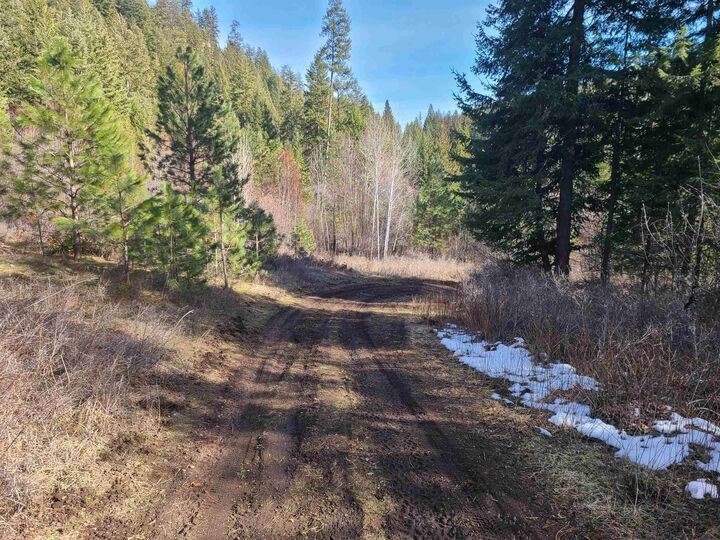 Property Photo:  2584-F Bridgeman Rettinger Rd  WA 99141 