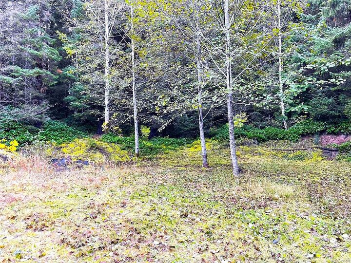 Property Photo:  35314 Highway 16 Lot 1  BC V0T 1Y0 