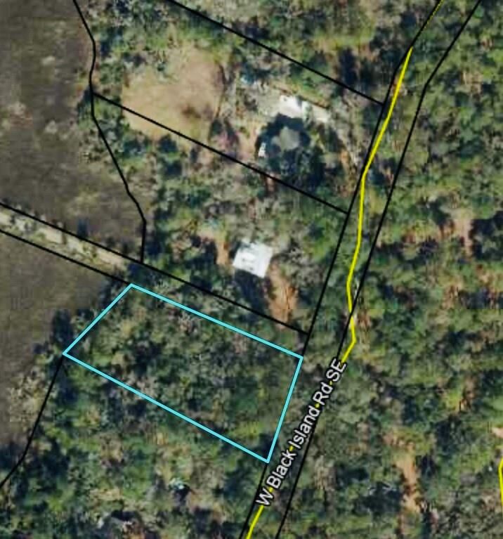Property Photo:  0000 W Black Island Road SE  GA 31305 