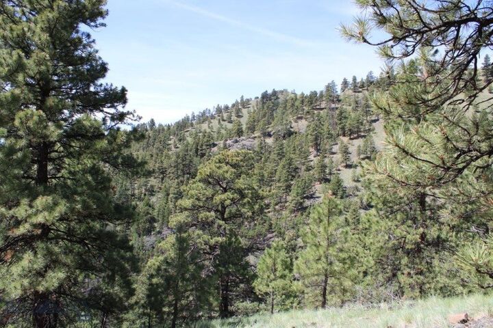 Property Photo: 6 Pine Coulee MT 59421