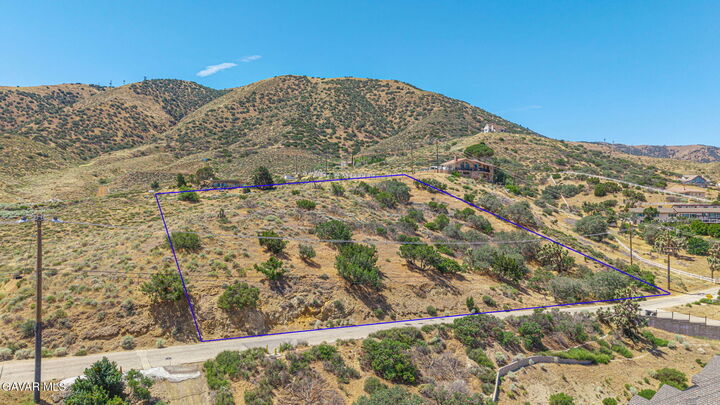 Property Photo:  Lakeview Dr Vic Oliver L Drive  CA 93551 