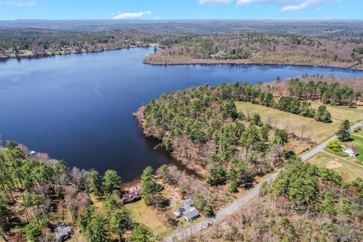 Property Photo:  236 Lakeview Drive Road  NY 12743 