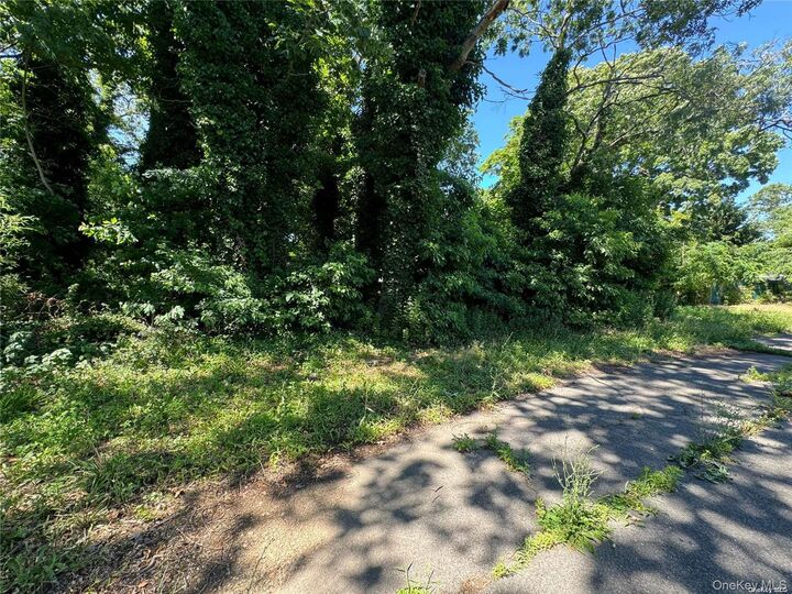 Property Photo:  215 Cortland Street  NY 11726 