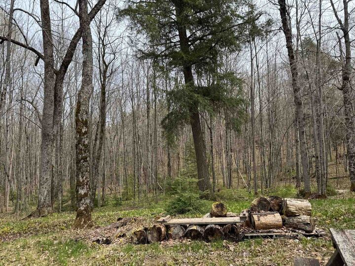 Property Photo: 34 Weber Road ON P0H 1S0