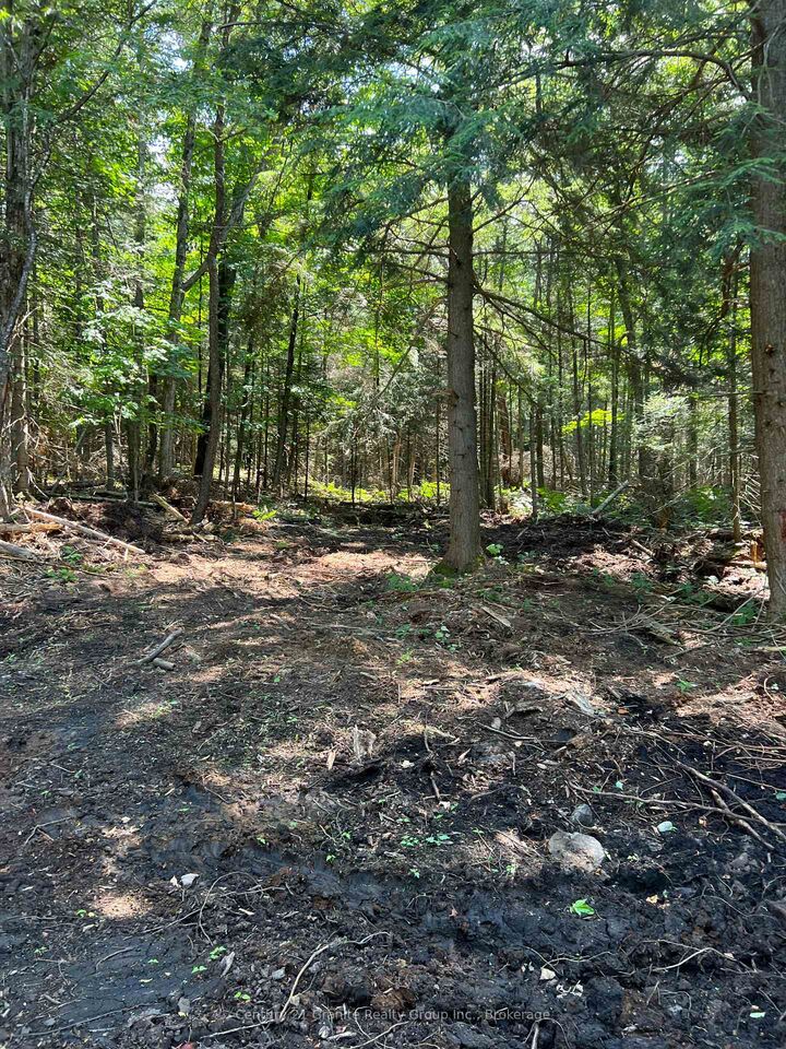 Lot 29 West Court — photo 1
