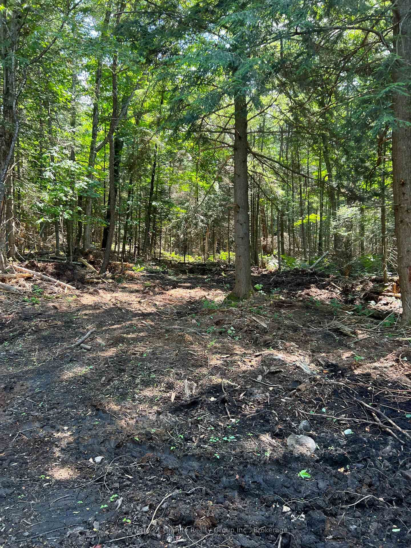 Property Photo:  Lot 29 West Court  ON K0M 1S0 