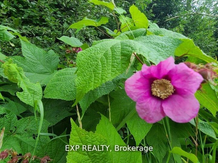 Property Photo:  20 Peplinskie Homestead Road  ON K0J 1B0 