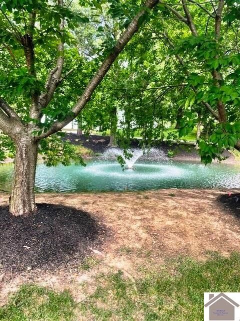Property Photo:  175 Low Ridge Lane  KY 42003 
