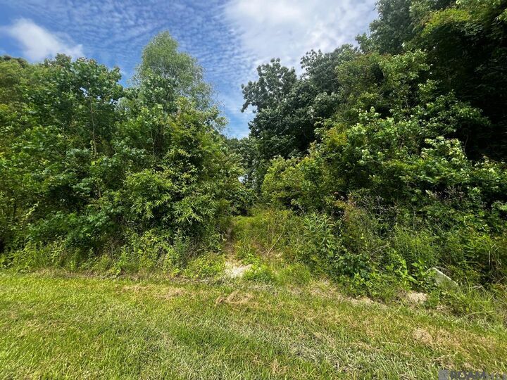 Property Photo:  18247 Eric Dr  LA 70791 