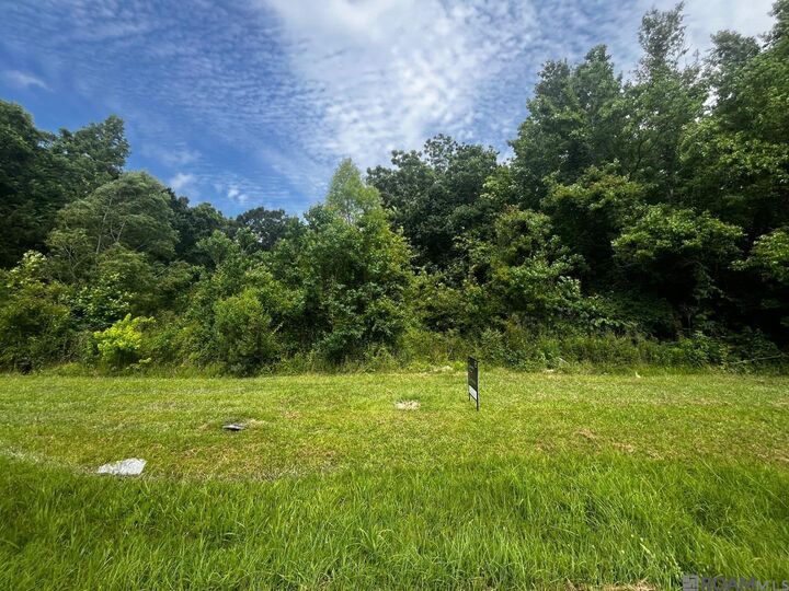 Property Photo: 18247 Eric Dr LA 70791