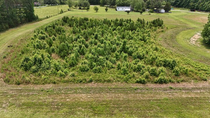 Property Photo:  Tbd Dawson Branch Road  SC 29483 