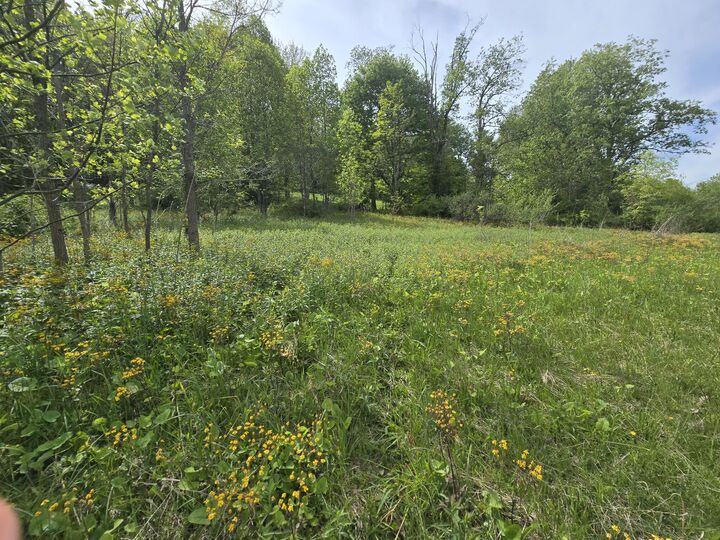 Property Photo:  Cemetery Road  WV 25958 