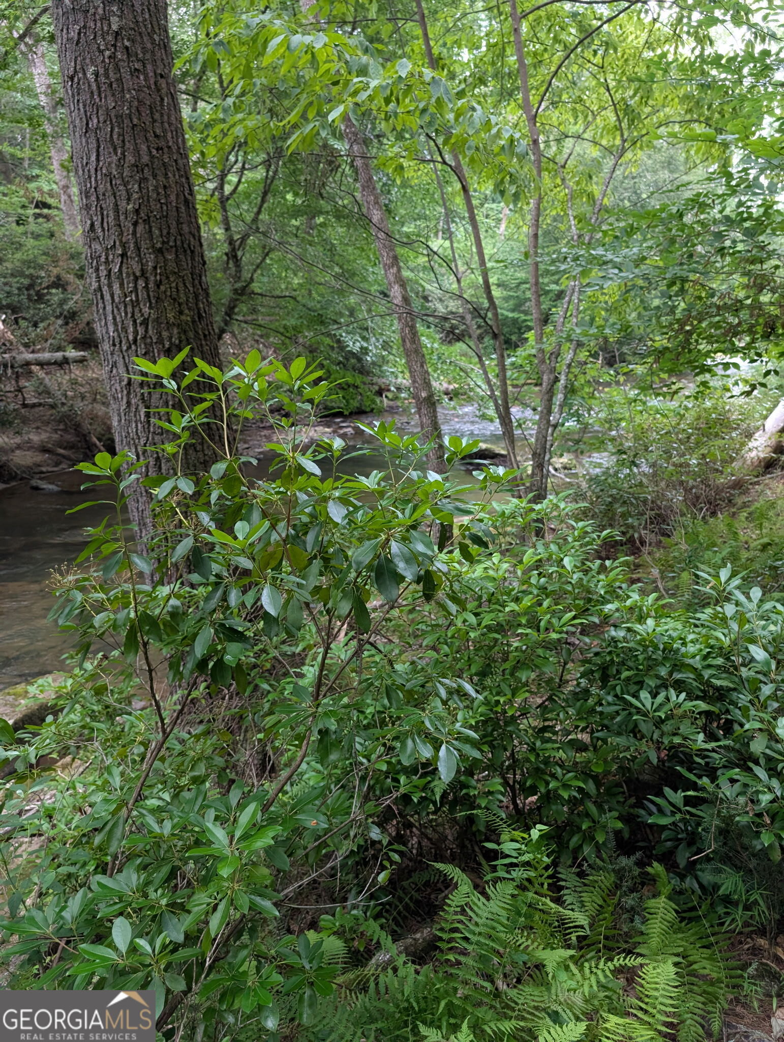 Property Photo:  Lot 32 Byers Road  GA 30512 
