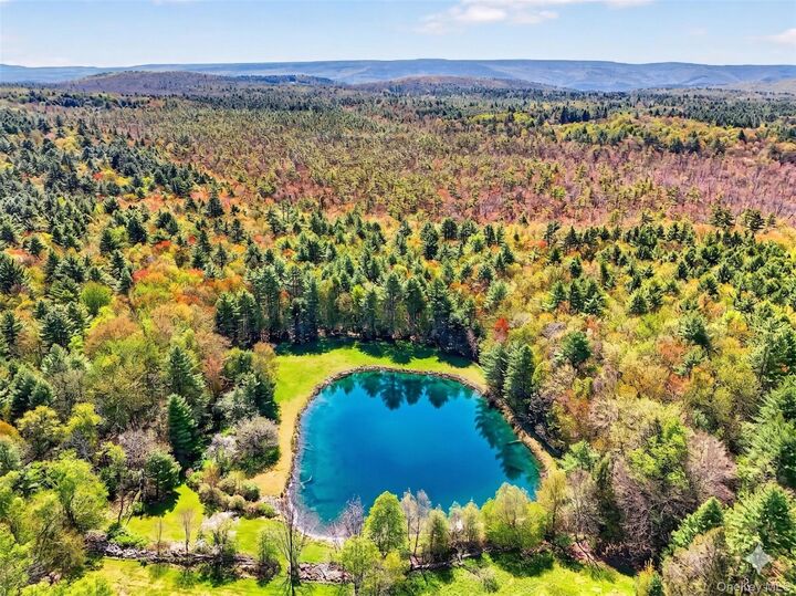 Property Photo:  Spook Hole Road  NY 12428 
