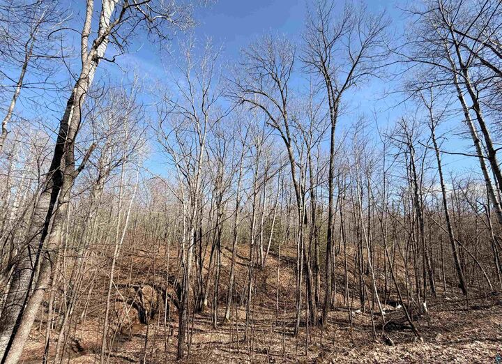 Property Photo:  90xxx Lamont Rd  WI 54814 