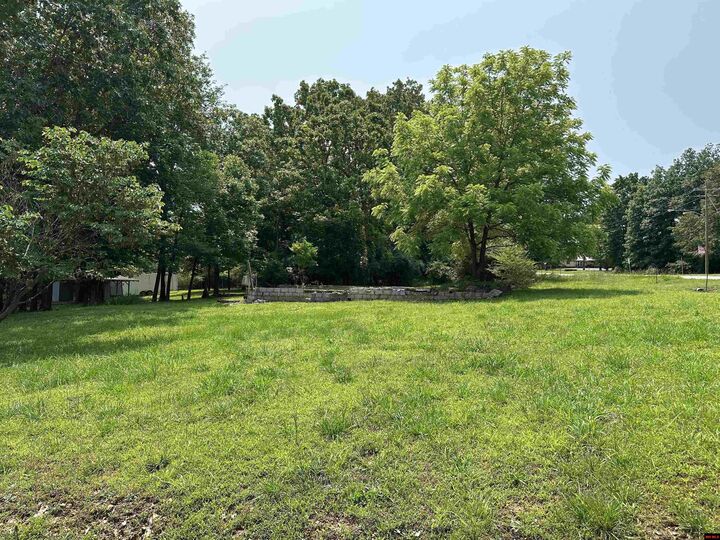 Property Photo: 320 Hazelwood Drive AR 72630