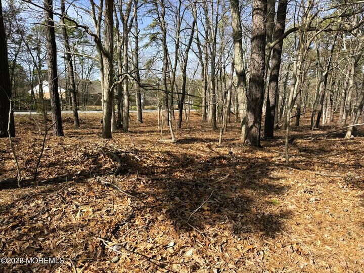 Property Photo: 17 Pinewood Drive NJ 08087