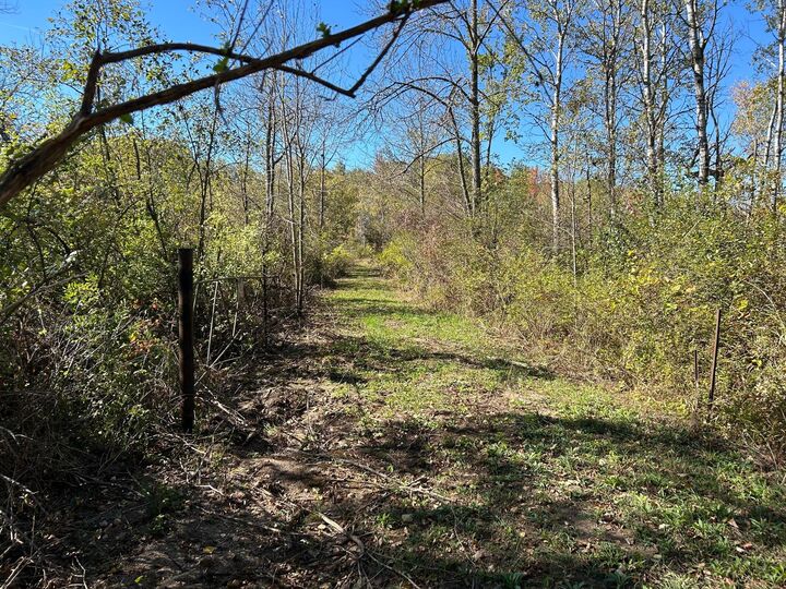 Property Photo:  V/L 30th Avenue  MI 49340 