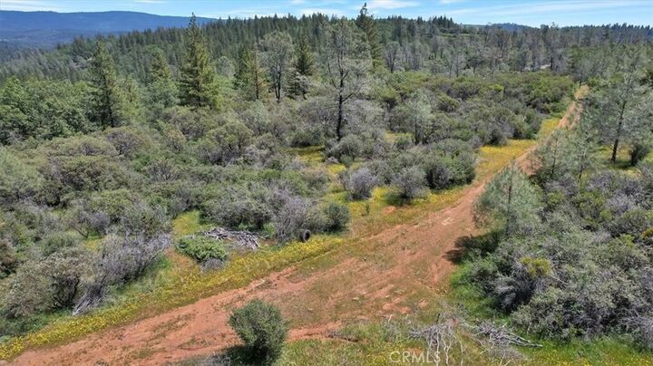 Property Photo:  12934 Wild Acres Way  CA 95962 