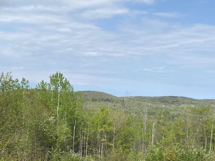 Property Photo: Lot #042 Tower Road M 005 L 042 ME 04360